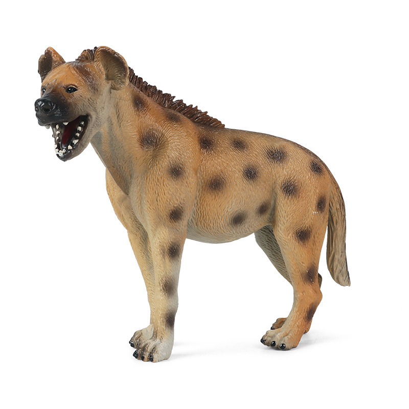 Modelos de Animais Selvagens e - Kids First Education avaliação e preço