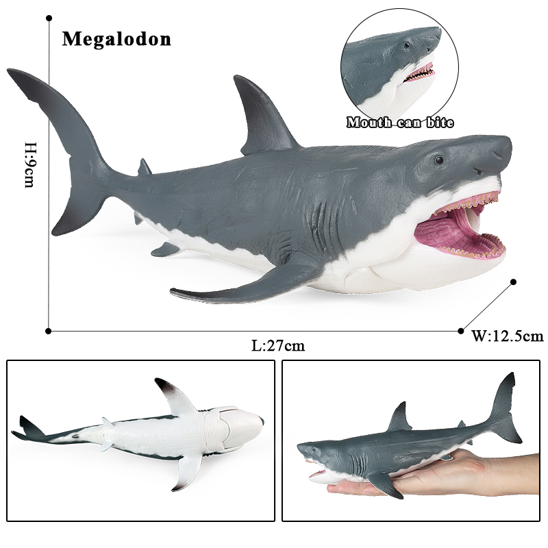 Oenux oceano animal selvagem m - Kids Without Education avaliação e preço