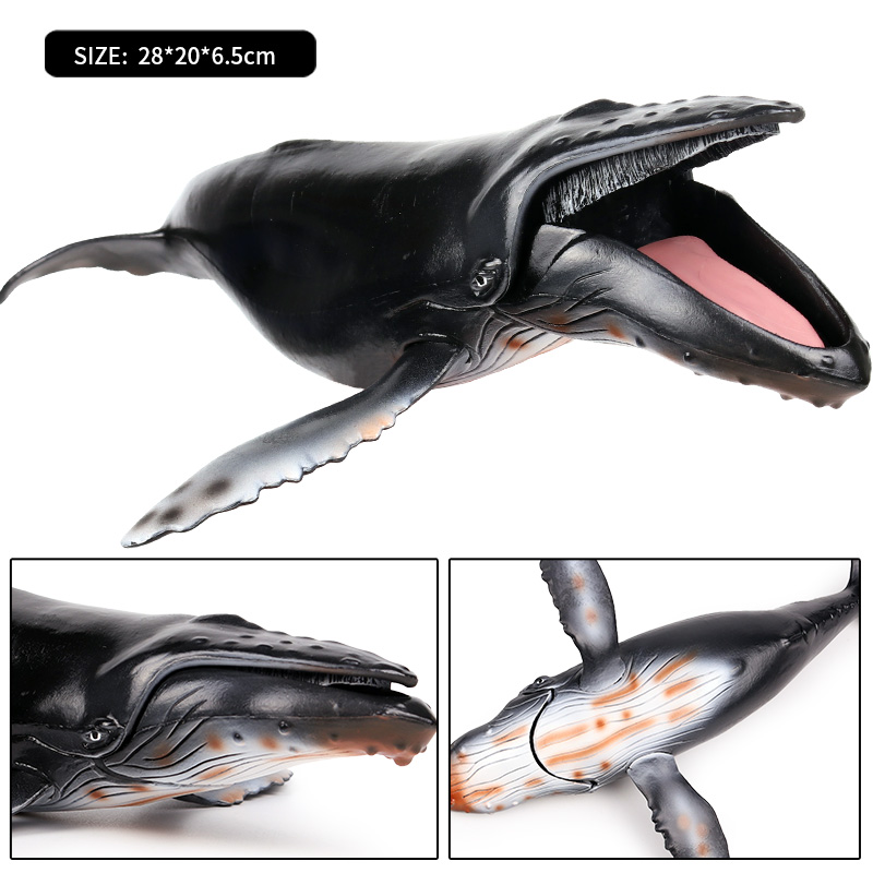 Oenux oceano animal selvagem m - Kids Without Education avaliação e preço